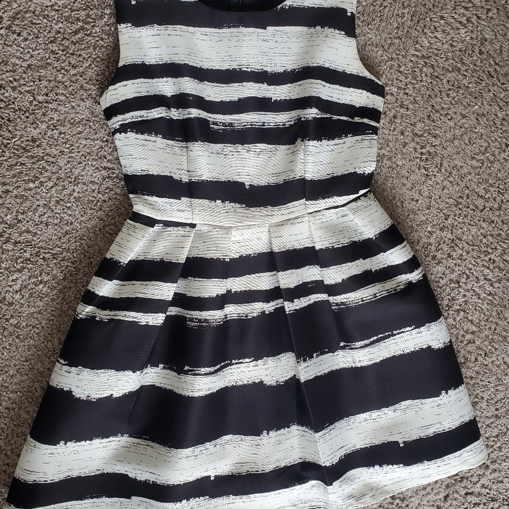 Black and White A-Line Dress - Picture 3 of 5